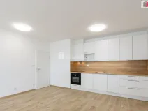 Pronájem bytu 2+kk, Plzeň - Jižní Předměstí, Goldscheiderova, 69 m2