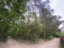 Prodej lesa, Vráž, 3233 m2