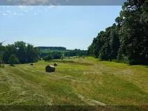 Prodej louky, Cehnice, 71196 m2