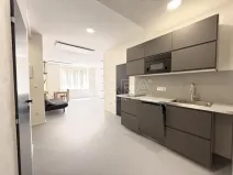Pronájem bytu 1+kk, Praha - Nové Město, Dittrichova, 55 m2