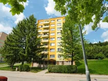 Prodej bytu 2+1, Loučovice, 57 m2