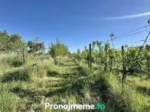 Pronájem - jiné, Šatov, 1759 m2