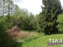 Prodej pozemku pro bydlení, Mladějov, 2297 m2