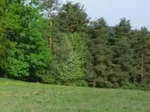 Prodej louky, Vojnův Městec, 9000 m2