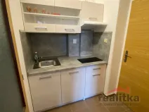 Pronájem bytu 1+kk, Opava - Předměstí, Pekařská, 18 m2
