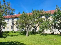 Dražba bytu 2+1, Brno, Purkyňova, 48 m2