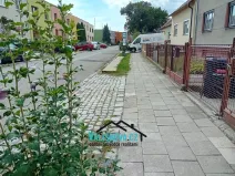 Prodej rodinného domu, Kroměříž, Ovocná, 130 m2