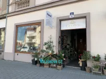 Pronájem obchodního prostoru, Kroměříž, Riegrovo náměstí, 17 m2