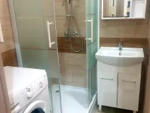 Pronájem bytu 2+kk, Plzeň - Jižní Předměstí, Vrchlického, 54 m2