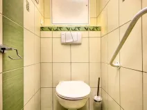 Prodej bytu 1+1, Trhové Sviny, Okružní, 43 m2
