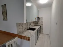 Pronájem bytu 1+kk, Praha - Břevnov, Moravanů, 54 m2