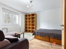 Pronájem bytu 1+1, Plzeň - Jižní Předměstí, Raisova, 30 m2