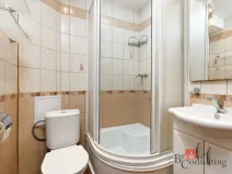 Pronájem bytu 1+1, Plzeň - Jižní Předměstí, Raisova, 30 m2