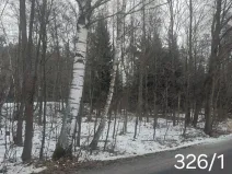 Prodej lesa, Dívčí Kopy, 1620 m2