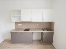Pronájem bytu 2+kk, Syrovice, 48 m2