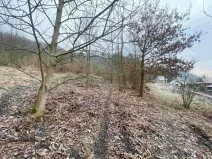 Dražba louky, Ryjice, 3310 m2