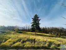 Prodej pozemku pro bydlení, Krnov, 1311 m2