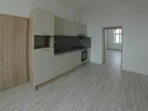 Pronájem bytu 2+kk, Plzeň, Purkyňova, 51 m2