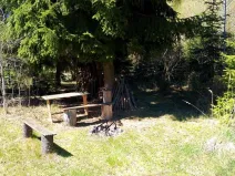 Prodej chaty, Červená Řečice - Těchoraz, 46 m2