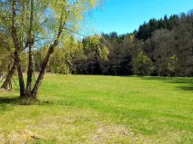 Prodej chaty, Červená Řečice - Těchoraz, 46 m2