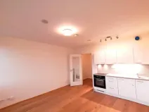 Pronájem bytu 1+kk, Praha - Vinohrady, Perucká, 27 m2