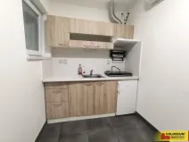 Pronájem bytu 1+kk, Židlochovice, 26 m2