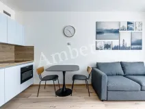 Pronájem bytu 1+kk, Praha - Karlín, Sokolovská, 28 m2