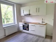 Pronájem bytu 1+1, Ústí nad Labem - Ústí nad Labem-centrum, Masarykova, 40 m2