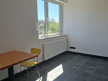Pronájem bytu 1+kk, Praha, Pod altánem, 33 m2