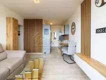 Pronájem bytu 2+kk, Mladá Boleslav - Mladá Boleslav III, Zalužanská, 41 m2
