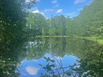 Prodej rybníku, Chlum u Třeboně - Žíteč, 130000 m2