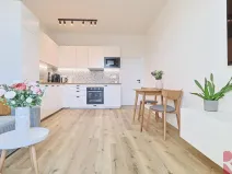 Prodej bytu 3+kk, Praha - Žižkov, Hartigova, 69 m2