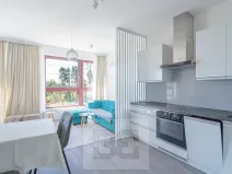 Pronájem bytu 1+kk, Beroun, Na Veselou, 44 m2