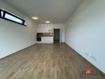 Prodej bytu 1+kk, Plzeň - Jižní Předměstí, Železná, 46 m2