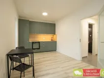 Pronájem bytu 1+kk, Praha, Štěchovická, 45 m2