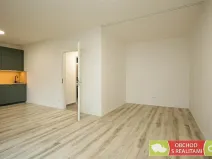 Pronájem bytu 1+kk, Praha, Štěchovická, 45 m2