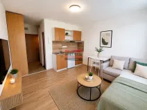 Prodej bytu 1+kk, Planá nad Lužnicí, Průmyslová, 19 m2