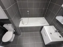 Pronájem bytu 3+1, Most, Františka Malíka, 69 m2