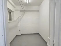 Pronájem obchodního prostoru, Příbram - Příbram VIII, Budovatelů, 220 m2