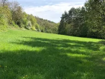 Prodej louky, Praha - Nebušice, U Gabrielky, 24023 m2