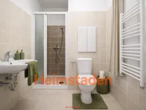Pronájem bytu 1+kk, Karviná - Hranice, Slovenská, 30 m2