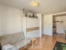 Pronájem bytu 2+kk, Praha - Nusle, Marie Cibulkové, 40 m2
