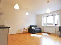 Pronájem bytu 1+kk, Brno - Žebětín, Říčanská, 27 m2