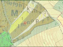 Prodej lesa, Kobylí, 2800 m2