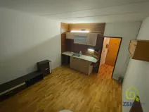 Pronájem bytu 1+kk, Chodov, Palackého, 20 m2