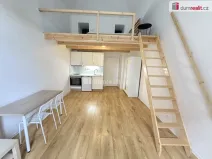Pronájem bytu 1+kk, Praha - Smíchov, Na Valentince, 50 m2