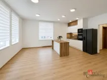 Pronájem bytu 4+kk, Opava - Předměstí, Na Nábřeží, 111 m2