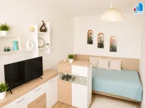 Pronájem bytu 1+kk, Plzeň - Jižní Předměstí, Čechova, 23 m2