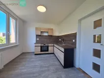 Pronájem bytu 1+1, Litvínov, Čapkova, 36 m2