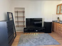 Pronájem bytu 1+kk, Praha - Nusle, Bohuslava ze Švamberka, 25 m2